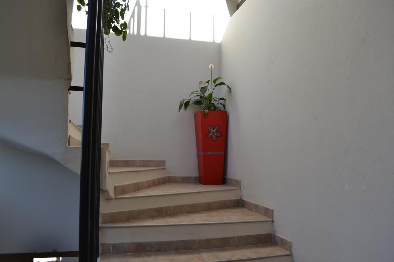 סן סלבדור דה ג'ולוי Guest House Jujuy מראה חיצוני תמונה