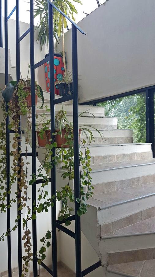 סן סלבדור דה ג'ולוי Guest House Jujuy מראה חיצוני תמונה