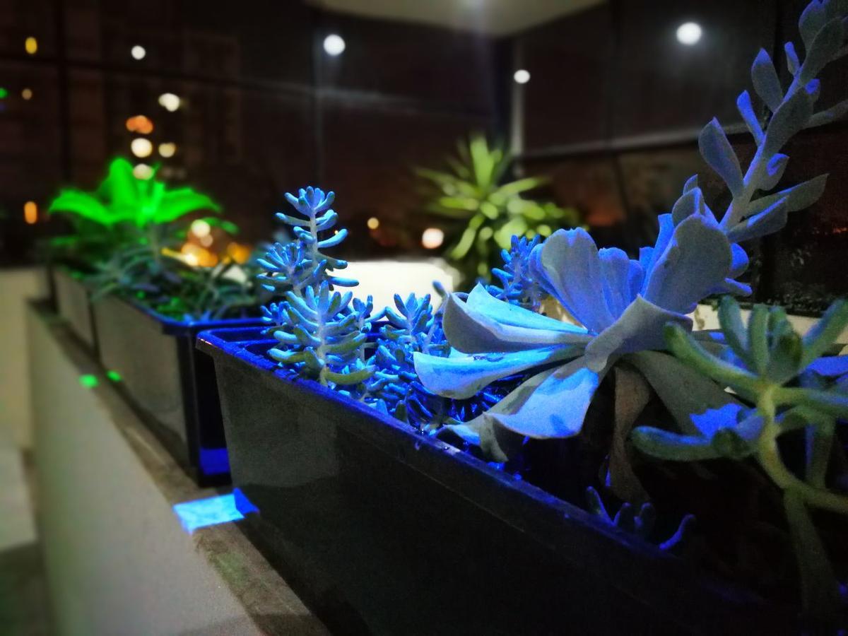 סן סלבדור דה ג'ולוי Guest House Jujuy מראה חיצוני תמונה